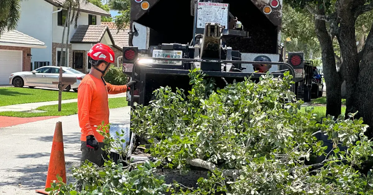 Shrub Removal & Shrub Trimming | Go Pro Professional Tree Care